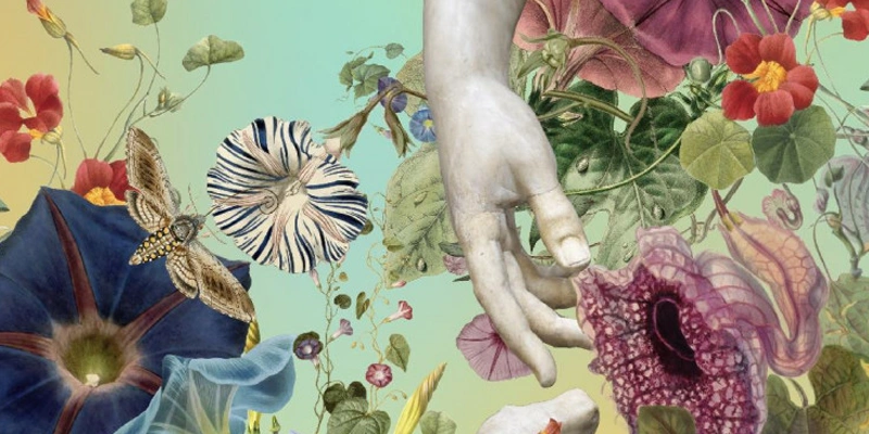 immagine per Beauty! A solo exhibition by Austin Young