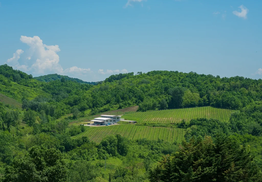 immagine per Agricola Bellaria