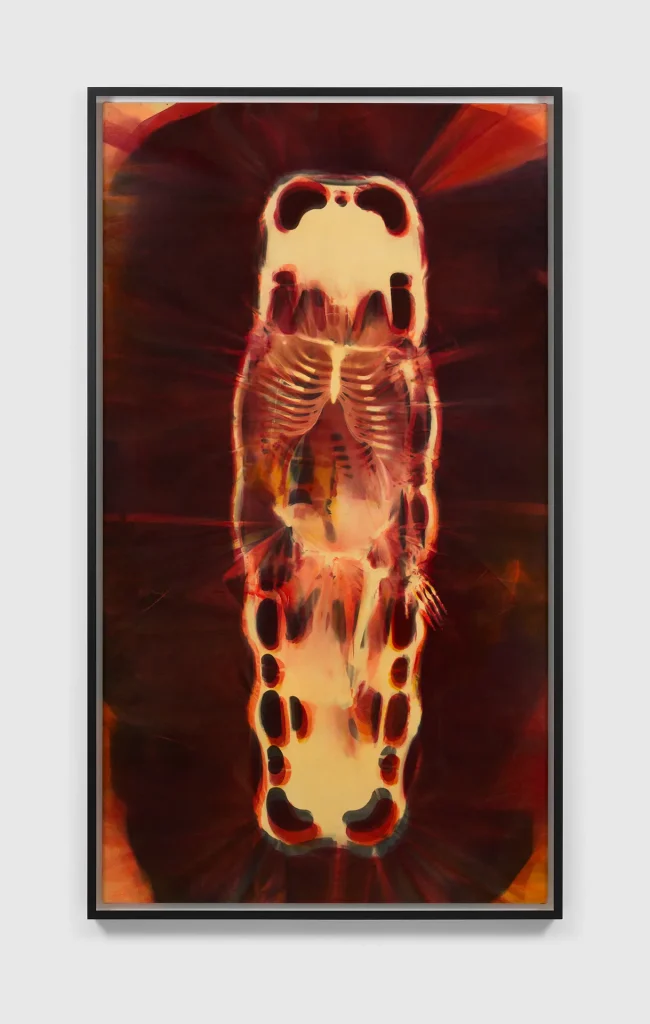 immagine per Andra Ursuta Nocturnal Omission 1, 2021-2022 Photoreactive dye on velvet 90 1/2 x 50 1/4 inches 229.9 x 127.6 cm Framed: 93 1/2 x 53 3/8 x 3 1/2 inches 237.5 x 135.6 x 8.9 cm