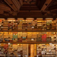 immagine per 16. Biblioteca-EFR Salone_EFR ph. Ch. Mantuano