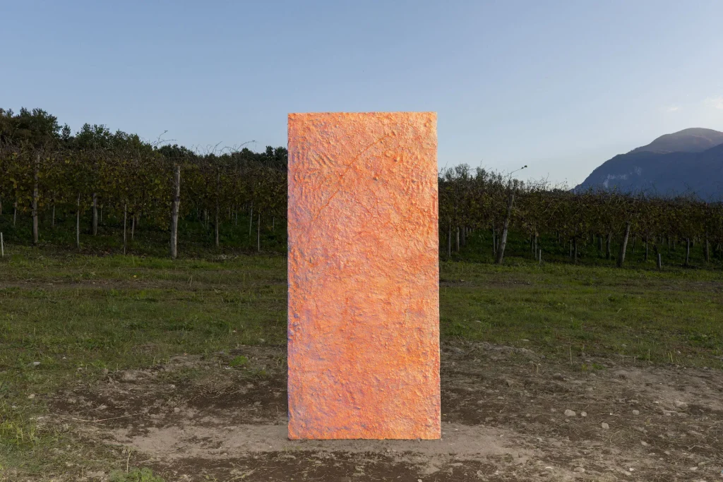immagine per Pennacchio Argentato, Encoded Landscape, 2024