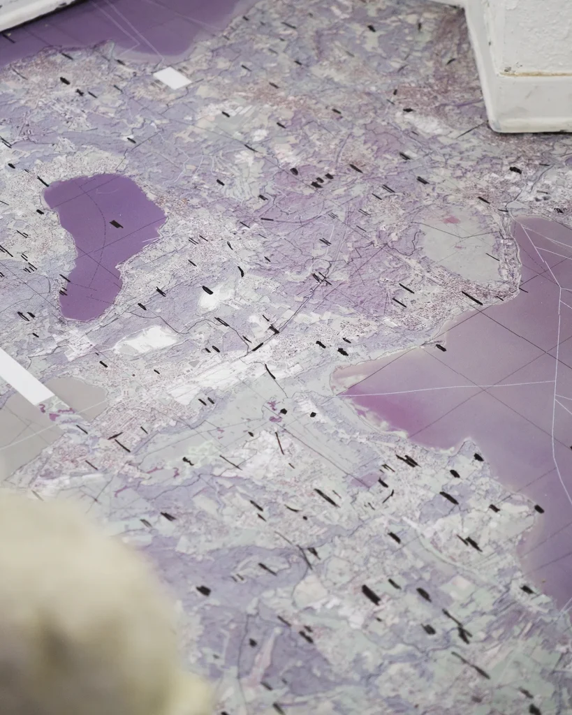 immagine per Davide Zulli, È il campo di nessuno, 2024, installation view at Anonima Kunsthalle