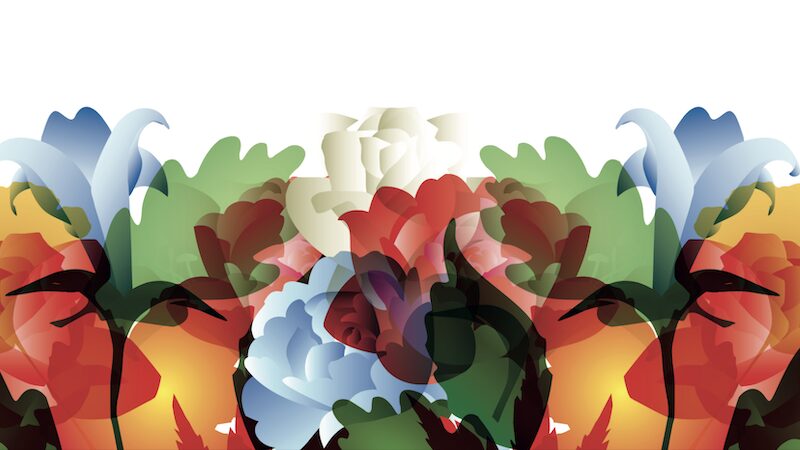 immagine per Il Giardino di Eva