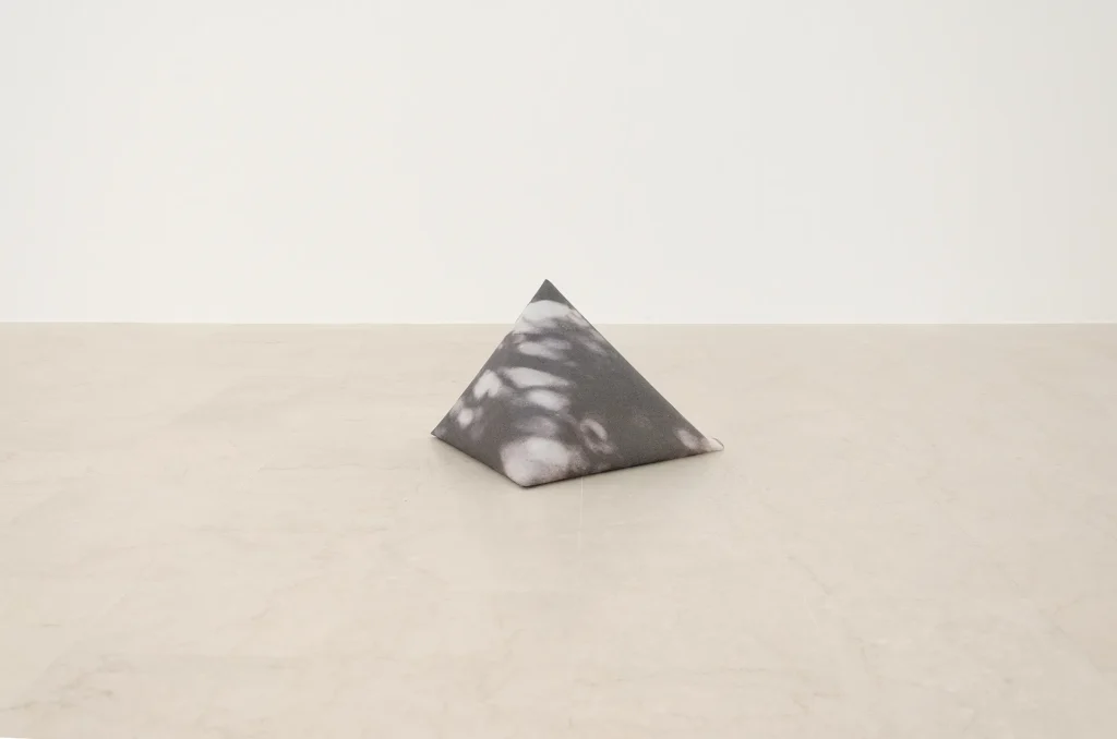 immagine per Lorena Bucur, Fortune cookie, 2022