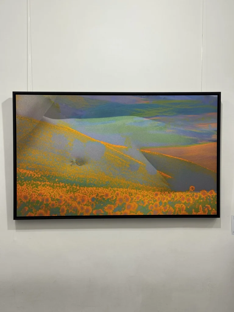 immagine per Vertigine, 2025, cm 100 x 60, New media su carta museale
- foto di Lorenzo Gramaccia
