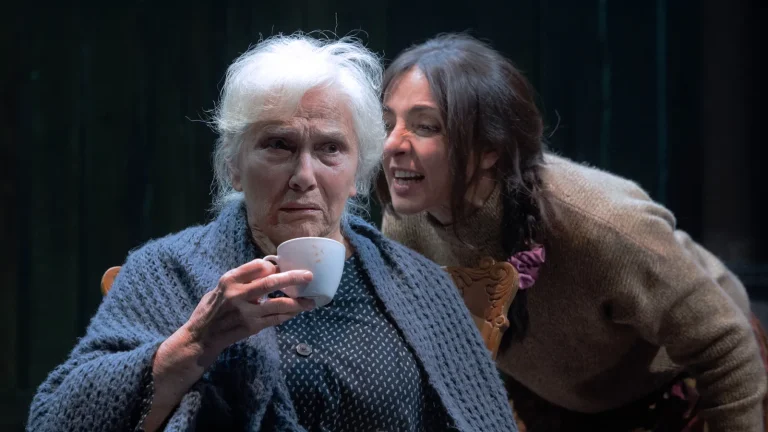 immagine per La Reginetta di Leenane: un miracolo teatrale che brucia e consola