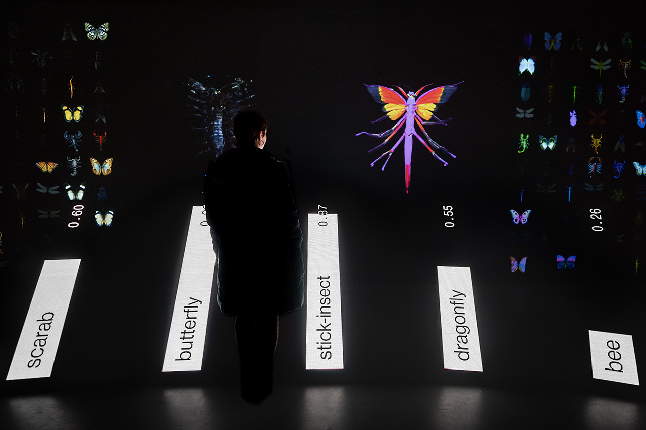immagine per Dotdotdot Data Bugs
