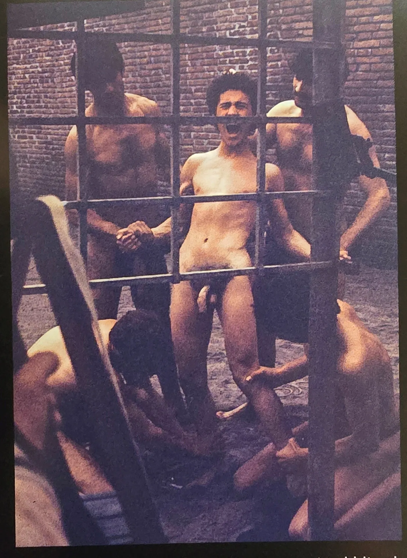immagine per Fig. 7. Fabian Cevallos, scena di tortura dal set di Salò o le 120 giornate di Sodoma, in Salò: mistero, crudeltà e follia. Una testimonianza fotografica di Fabian Cevallos (Roma, Auditorium Parco della Musica, 19 settembre-2 novembre 2005, catalogo «L’Erma» di Bretschneider 2005, p. 16. ©Fabian Cevallos