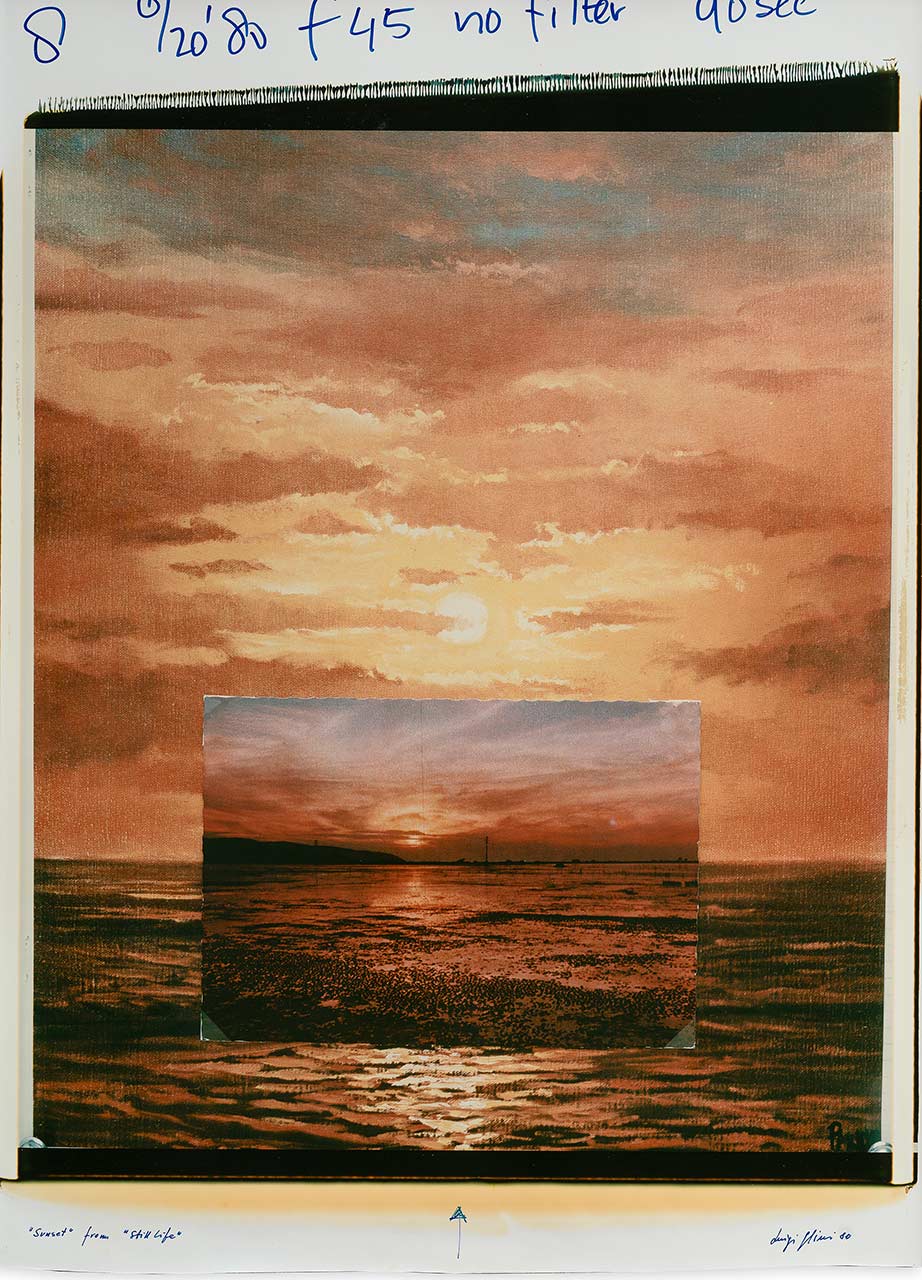 immagine per Ghirri Polaroid Pecci