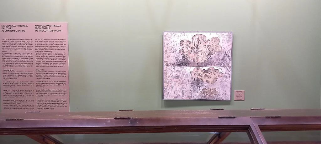 immagine per Mostra Naturalia Artificialia con fossili in dialogo con opera di... Gino Marotta -Roma Arte in Nuvola 2025 -ph. Barbara Martusciello