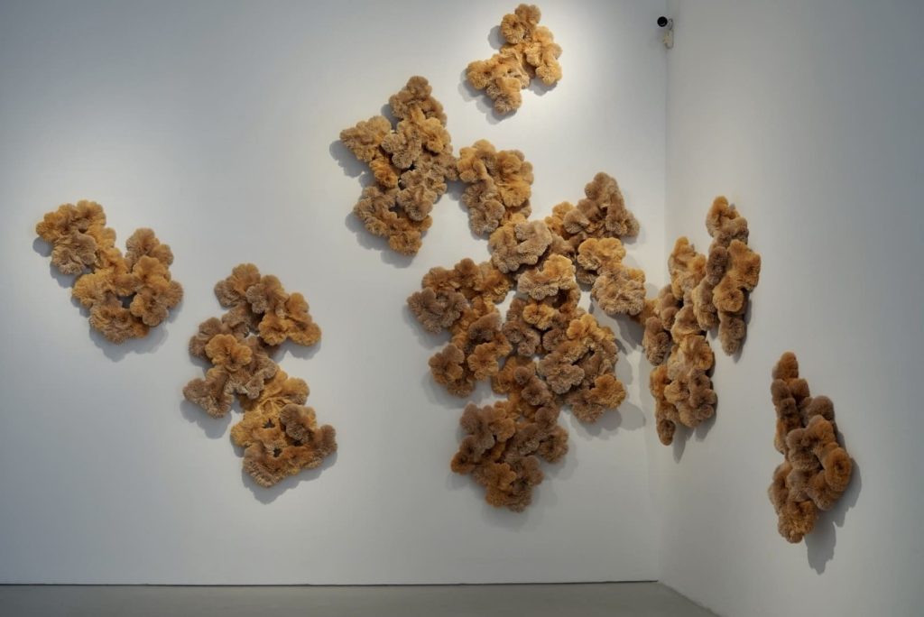 immagine per Spillovers, MAXXI Chris Soal, a cura di Cesare Biasini Selvaggi. Foto di Olivia Rainaldi