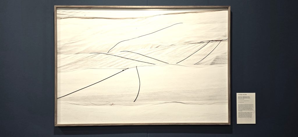 immagine per Dettaglio mostra collettiva fotografica - opera di Claudio Orlandi - Roma Arte in Nuvola 2025