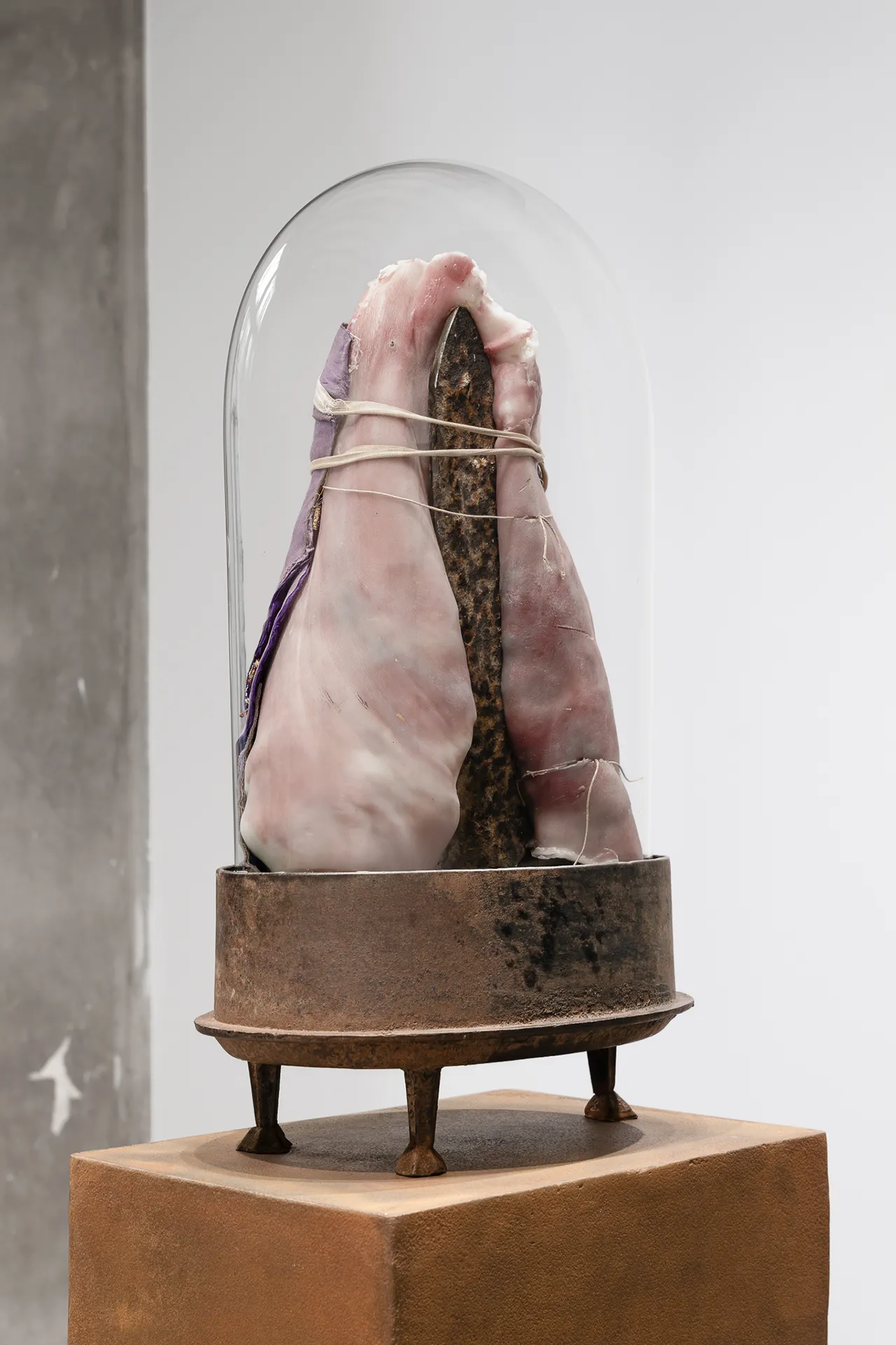immagine per Berlinde de Bruyckere, <em>Need</em>, Galleria Continua, Paris (C) Hafid Lhachmi - ADAGP Paris