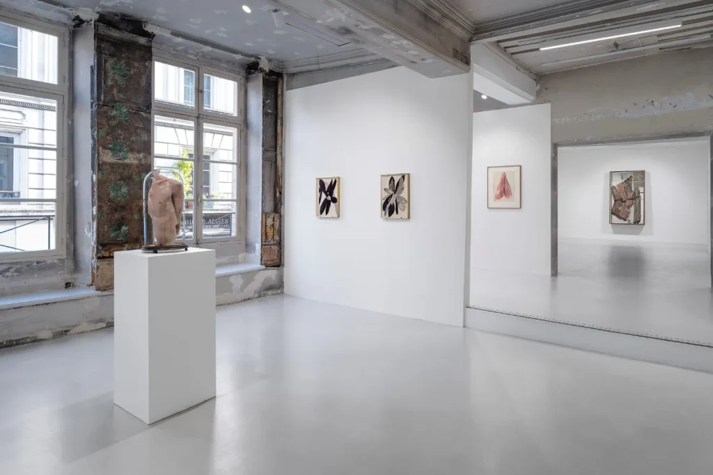immagine per Berlinde de Bruyckere, Need, Galleria Continua, Paris (C) Hafid Lhachmi - ADAGP Paris