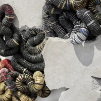 immagine per Chris Soal, prima grande personale in Italia. Spillovers: Notes on a Phenomenological Ecology