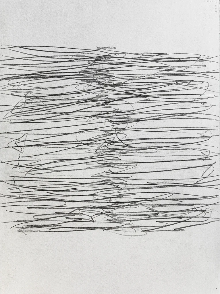 immagine per Dynamic Lines, graphite on paper, 1998, 76 x 56 cm