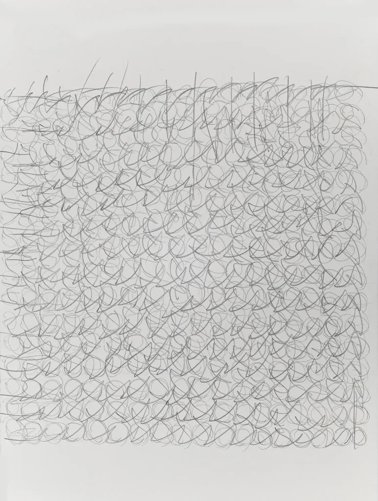 immagine per Woven work, graphite on paper, 2025, 76 x 56 cm