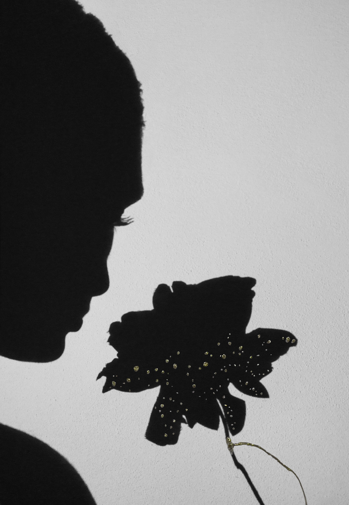 immagine per Eden. Il Giardino dell’anima, Anna Caterina Masotti