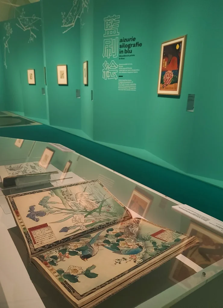 immagine per Antiche raccolte rilegate di disegni (manga). ph. F. Martusciello