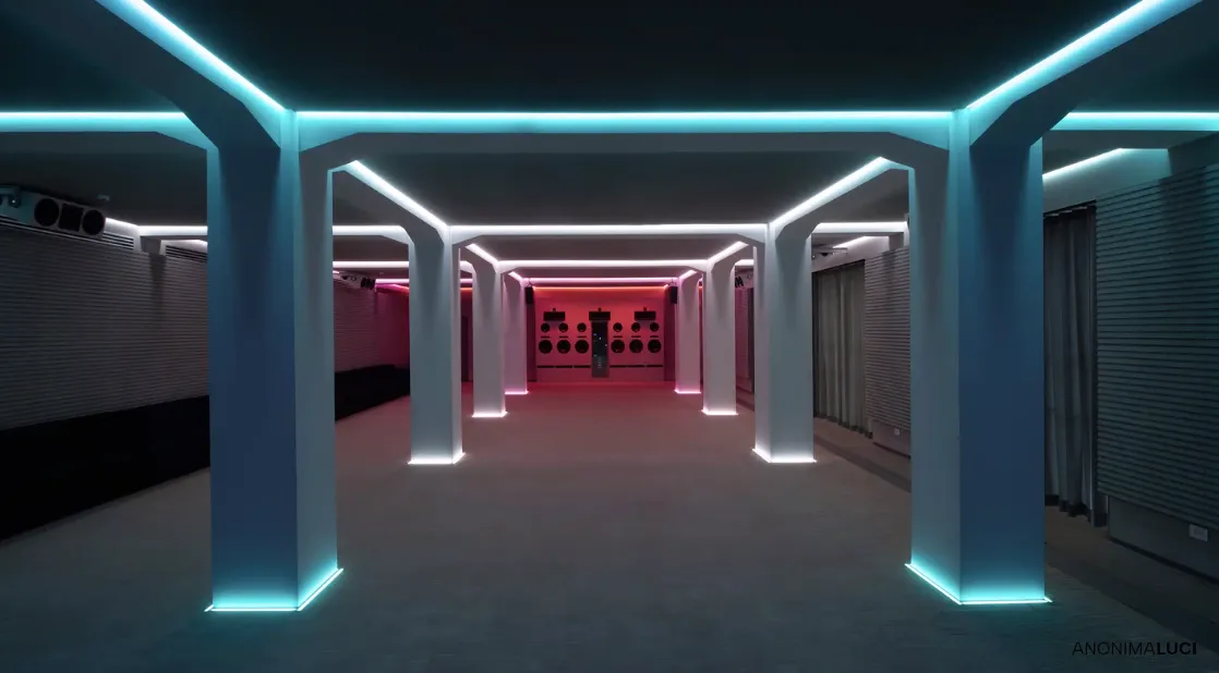 immagine per Anonima/Luci. Spazio Voce