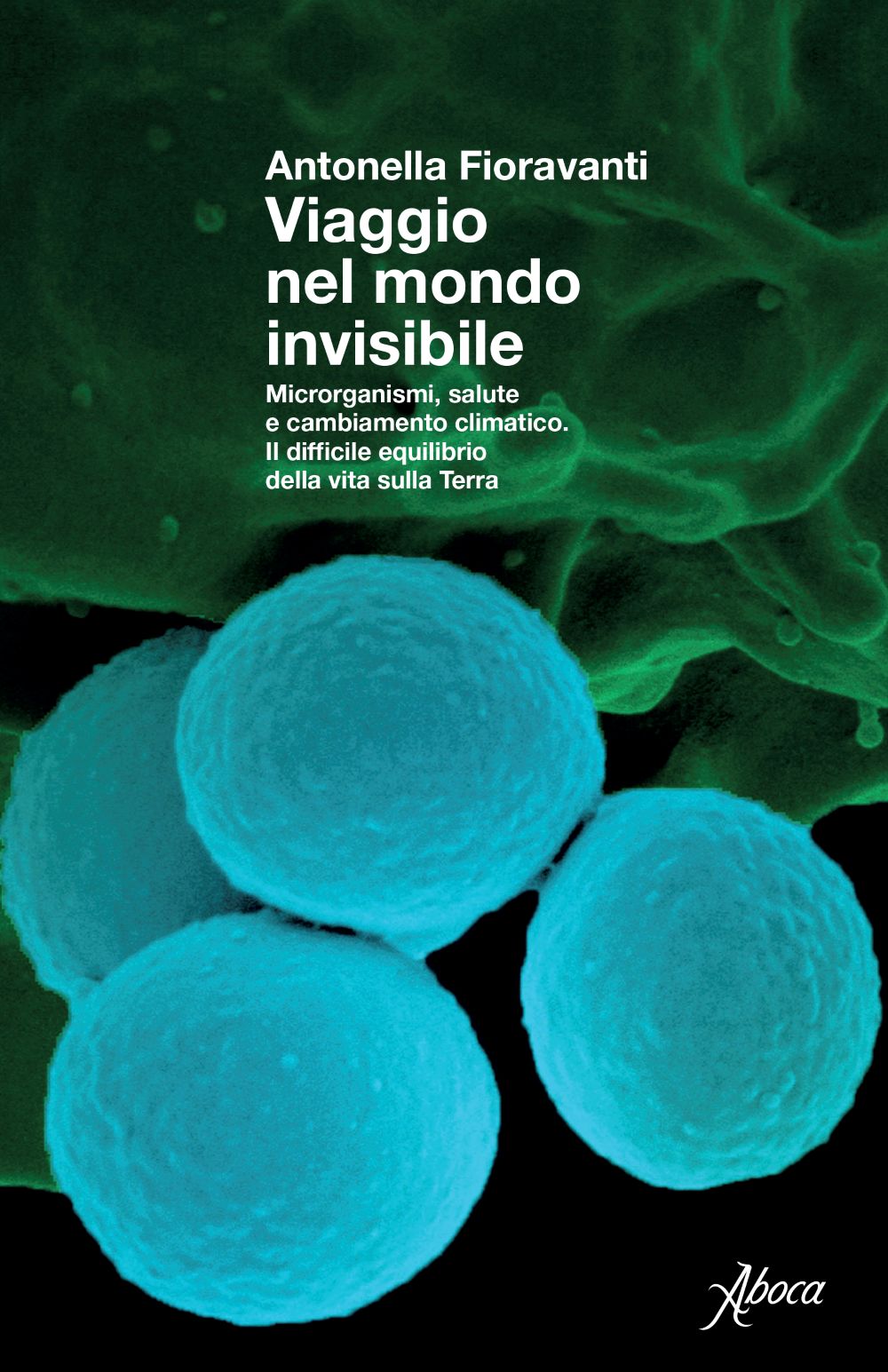 immagine per Più Libri Più Liberi 2025. Viaggio nel mondo invisibile, di Antonella Fioravanti
