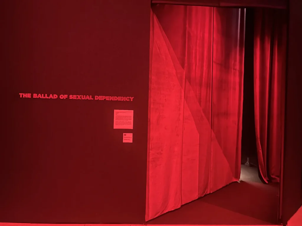 immagine per Nan Goldin - Hangar Bicocca Milano. Foto F.Cascino