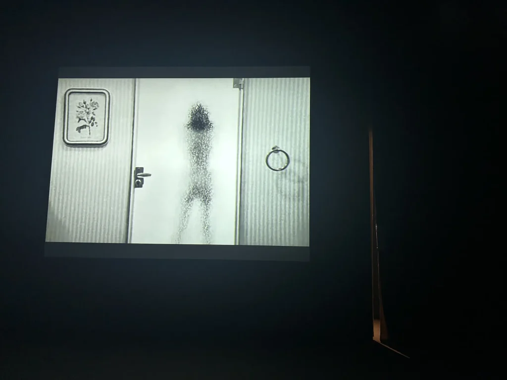 immagine per Nan Goldin - Hangar Bicocca Milano. Foto F.Cascino