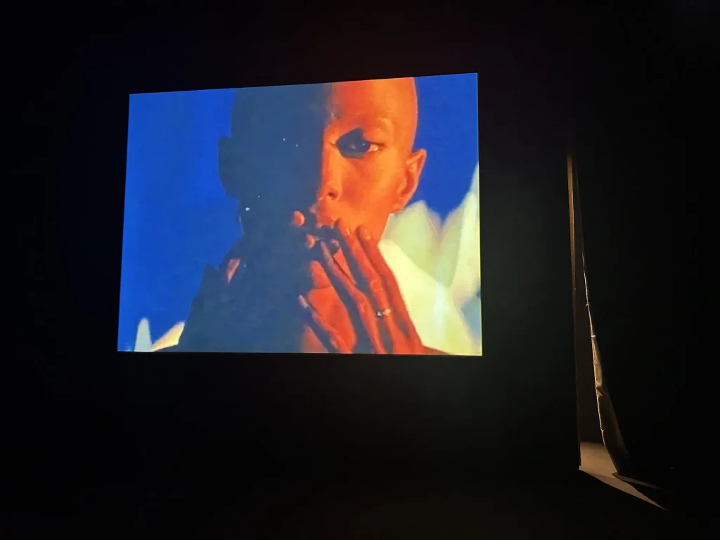 immagine per Nan Goldin - Hangar Bicocca Milano. Foto F.Cascino