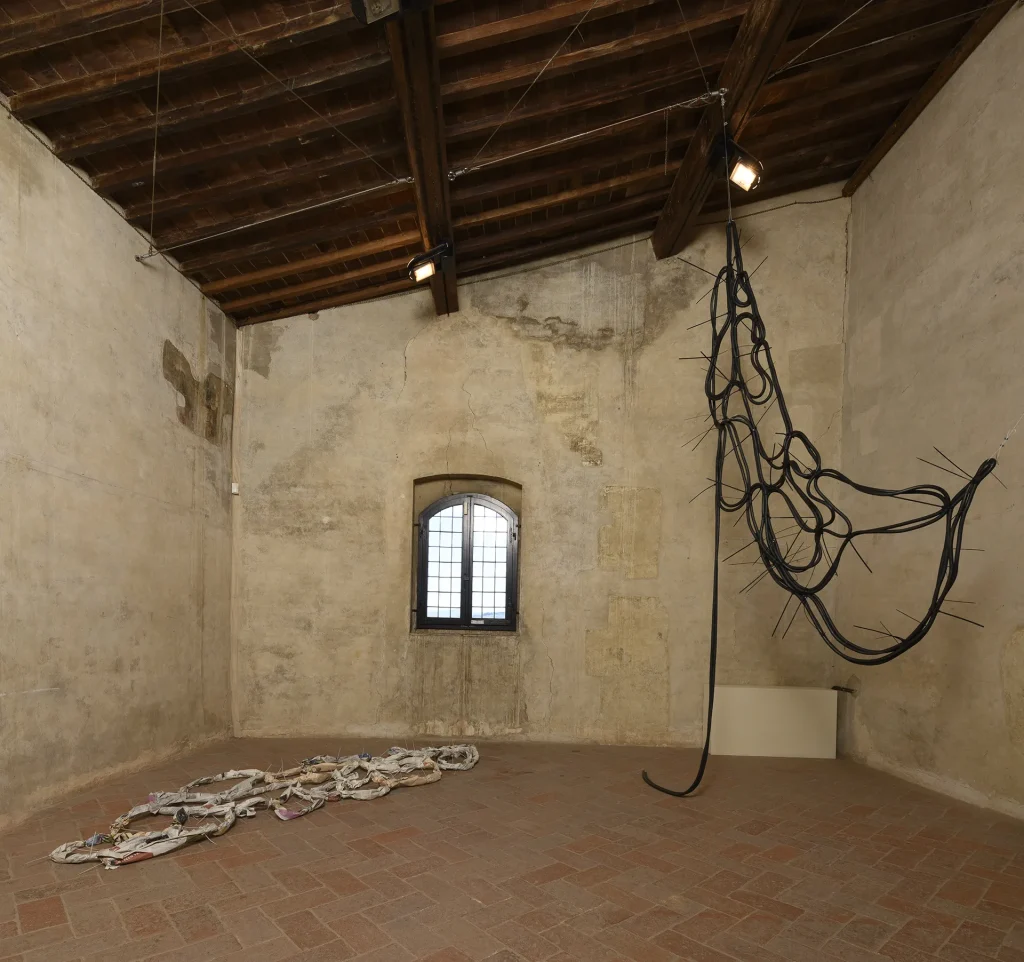 immagine per Valentina Palazzari, Fiammetta 2025, exhibition view, Palazzo Pretorio, Certaldo. Courtesy of the artist. Ph Giorgio Benni
