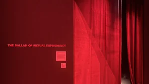 immagine per Massimi e Minini, Nan e Giganti, guarda e riguarda.