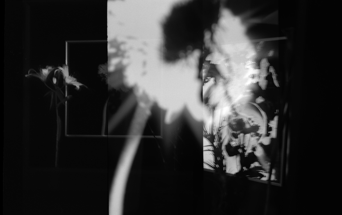 immagine per Francesca Cao Galleria Zema