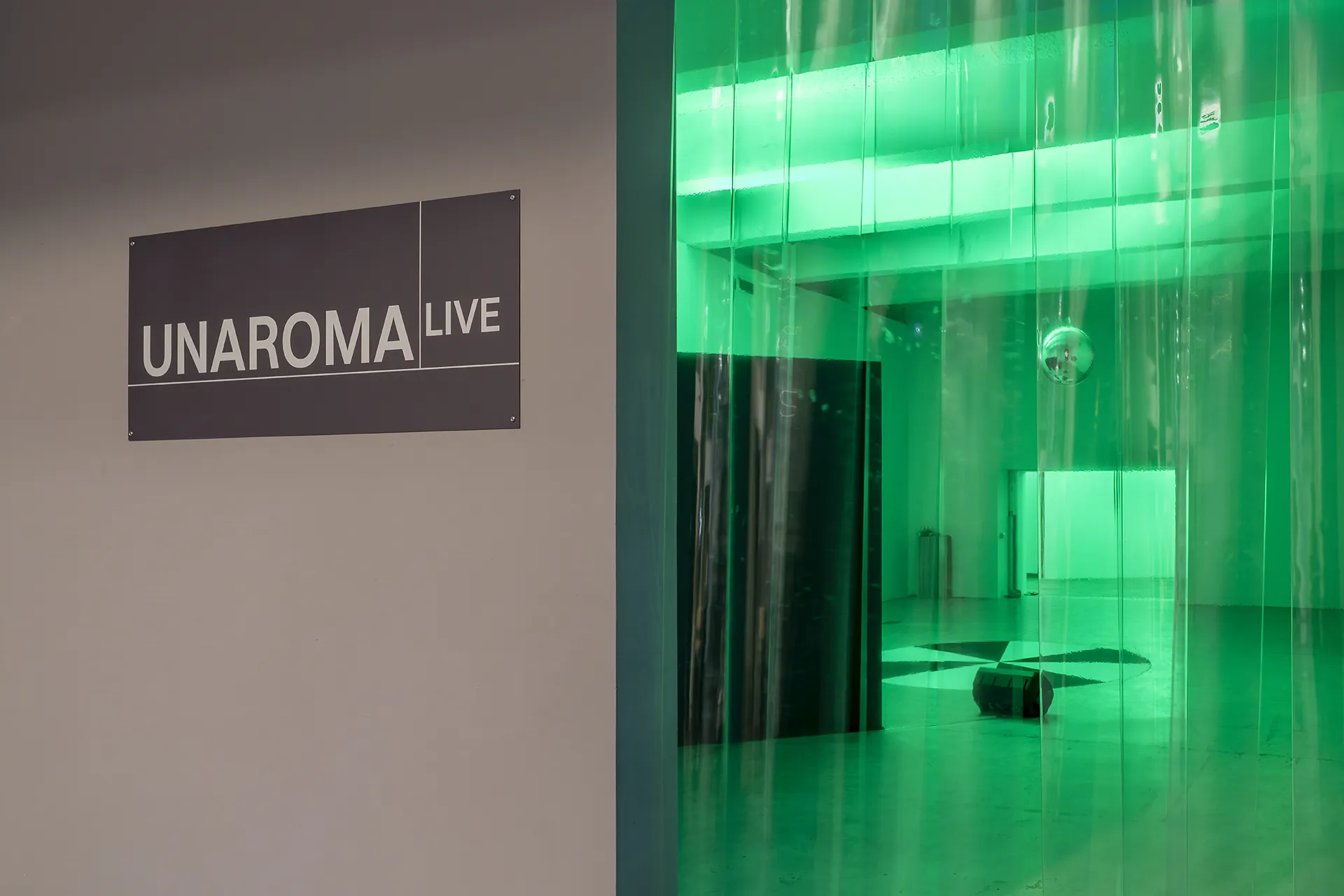 immagine per Live UNAROMA photo Ela Bialkowska OKNOstudio