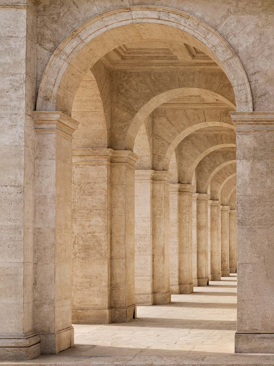 immagine per Silvia Camporesi z2o