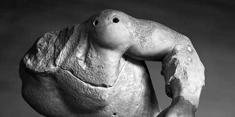 immagine per Stefano Cigada