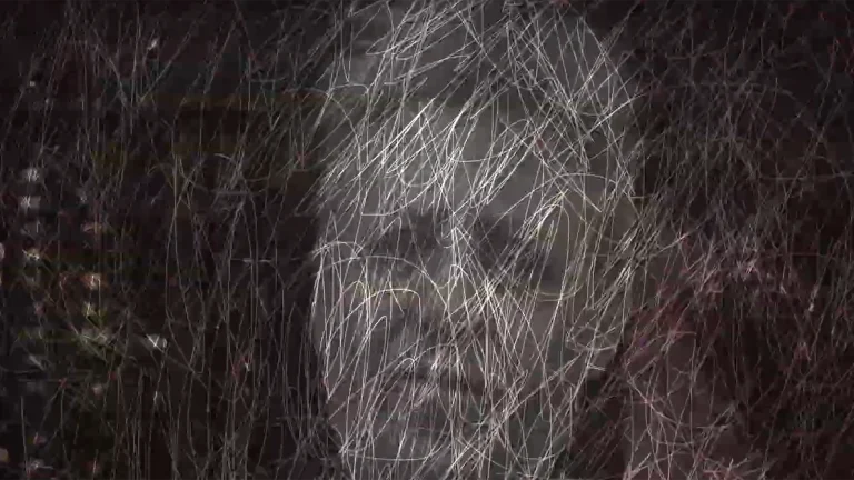 immagine per La notte dalla musica alla videoarte l'omaggio di Canio Loguercio, Patricia Thibault e Antonello Matrazzo alla canzone di Salvatore Adamo