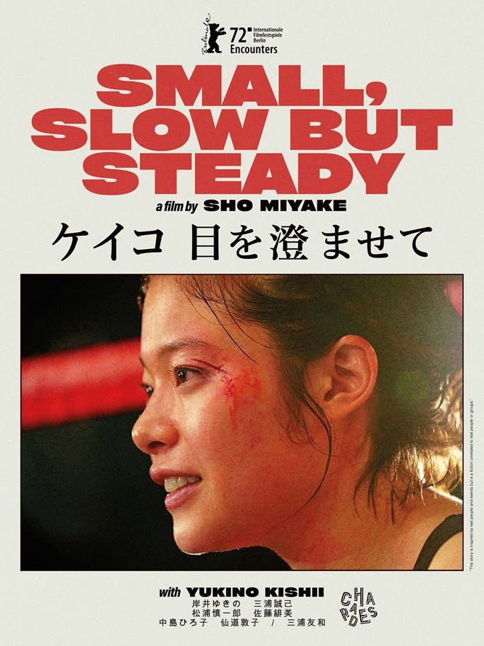immagine per Small Slow but Steady
