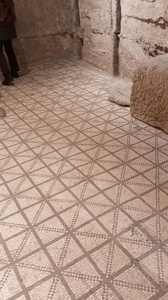 immagine per Casa dei Grifi - Palatino mosaico pavimentale di uno degli ambienti ipogei
