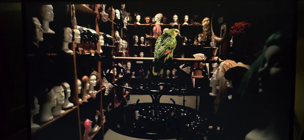 immagine epr Fig. 13. Le maschere e il pappagallo nello studio di “Portobello” nell’episodio 1 di Portobello