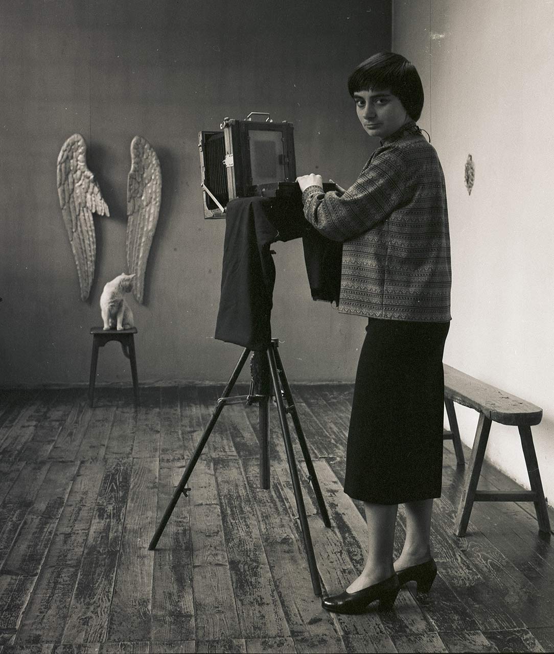 immagine per Agnès Varda
