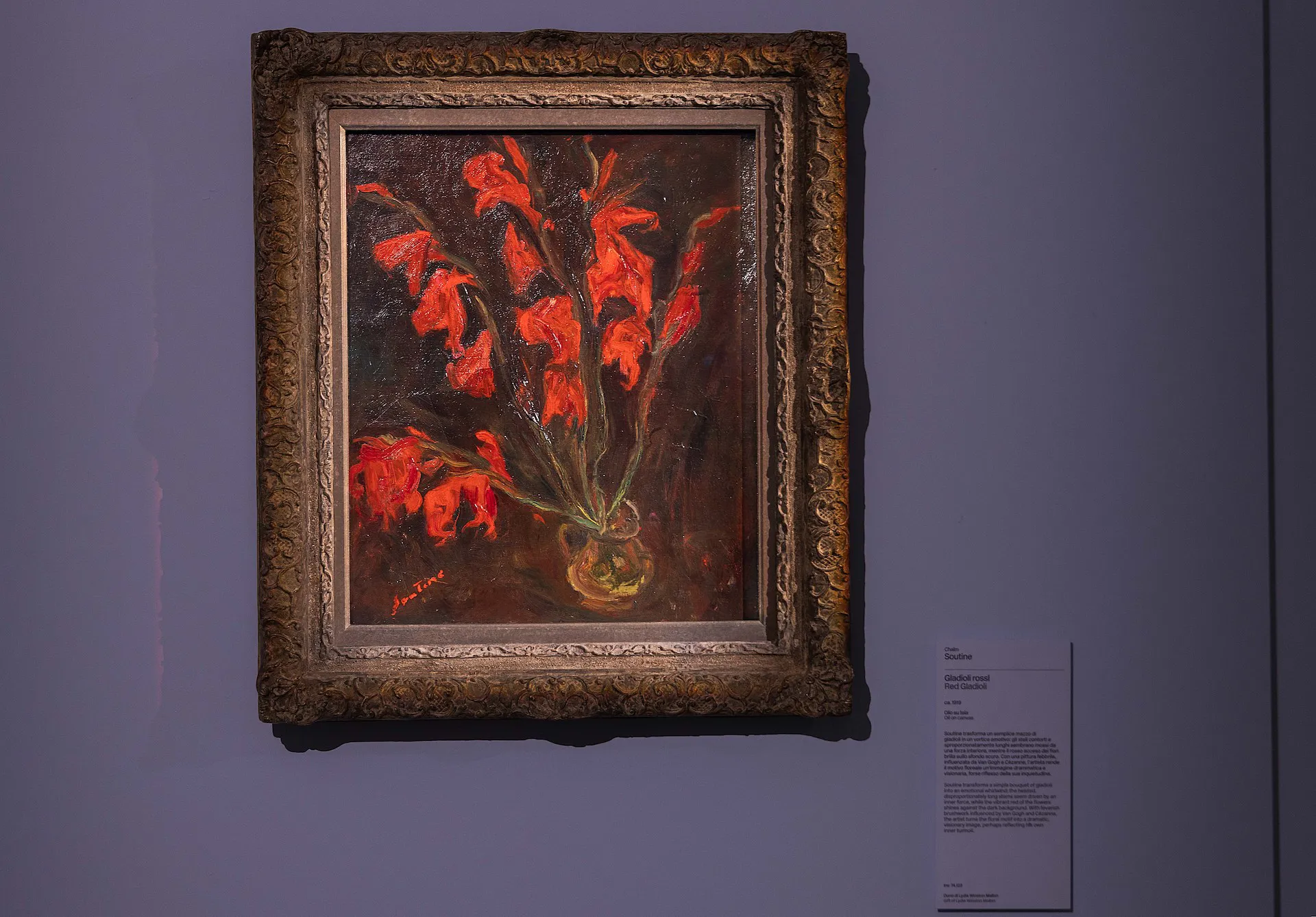 immagine per FIG. 18) - Chaïm Soutine, Gladioli rossi, 1919 -Impressionismo e Oltre -Ara Pacis RM -Ph. Monkeys Video Lab