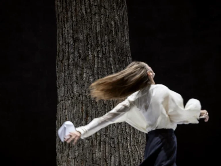 immagine per Vita e Virginia attraverso Orlando