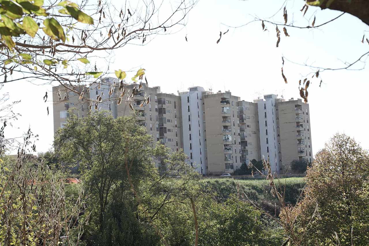immagine per Torrevecchia Roma