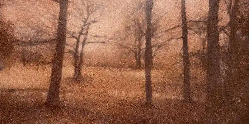 immagine per Michele Parisi