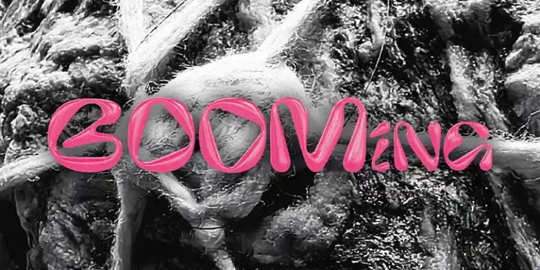 immagine per BOOMing 2026