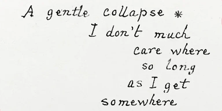 immagine per Gentle Collapse Andrea Nuovo