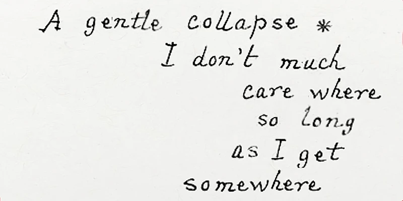 immagine per Gentle Collapse Andrea Nuovo
