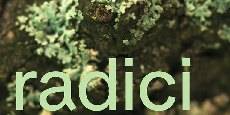 immagine per Nuove Radici ISIA Faenza