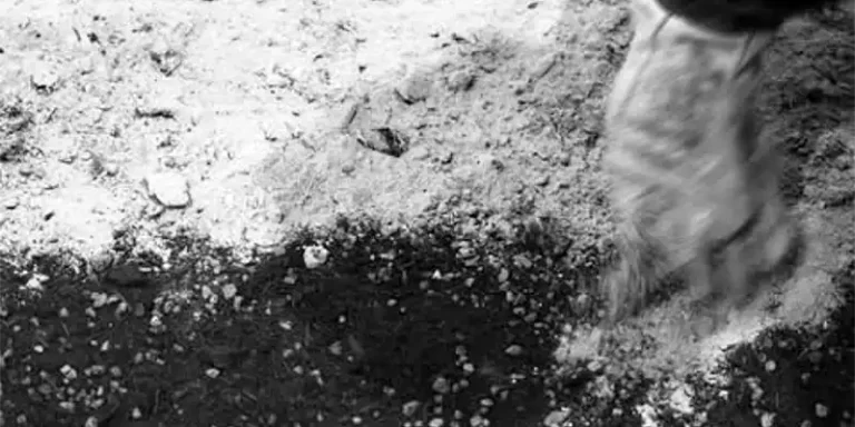 immagine per VOLUME! Ciriaco Campus Cenere