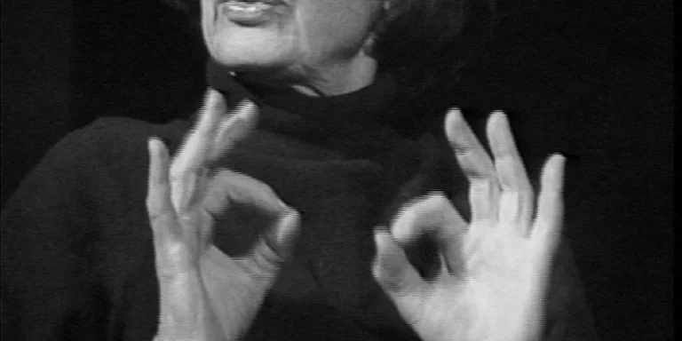 immagine per Amelia Rosselli