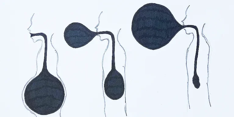 immagine per Ventura Ti lascio qui